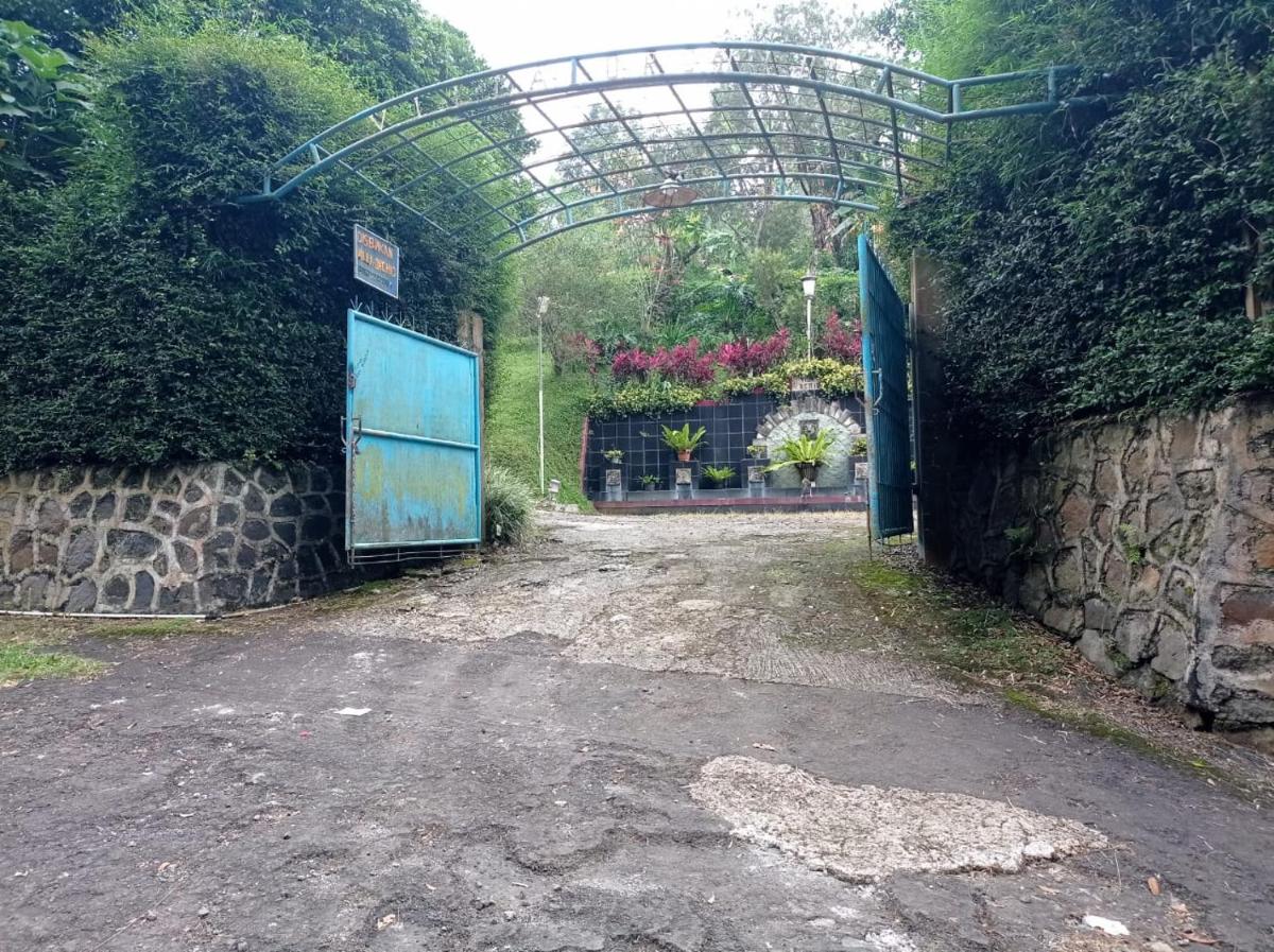 Villa Orchid - Housity