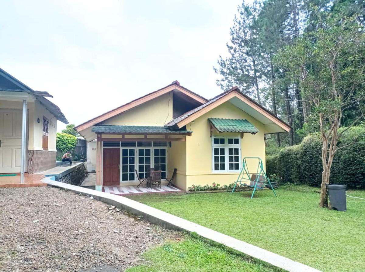 Villa Orchid - Housity