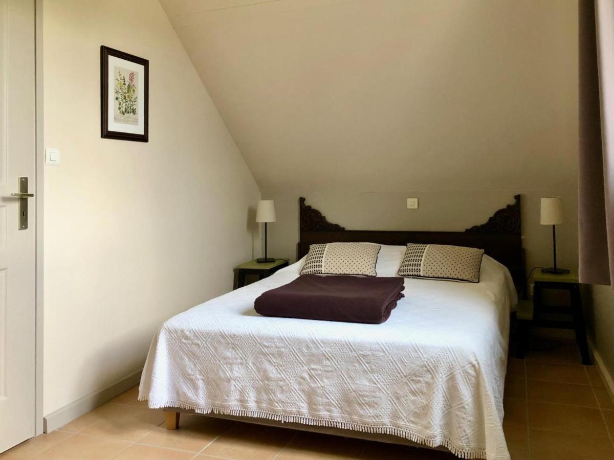 Gîte L'Orée du Bois : Charme Rural & Animaux Admis - FR-1-381-200 - Housity