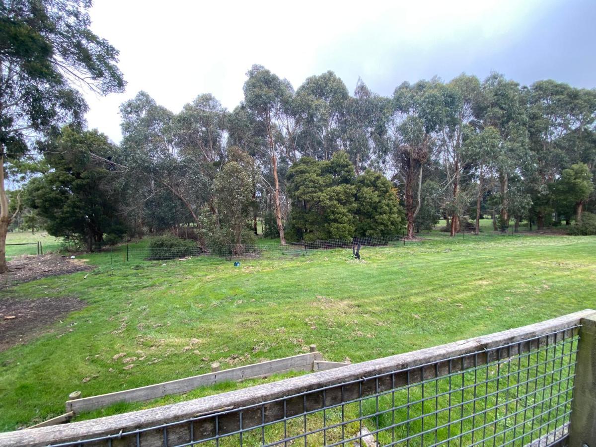 Richo’s Retreat, 1 bed unit near Great Ocean Road - Housity