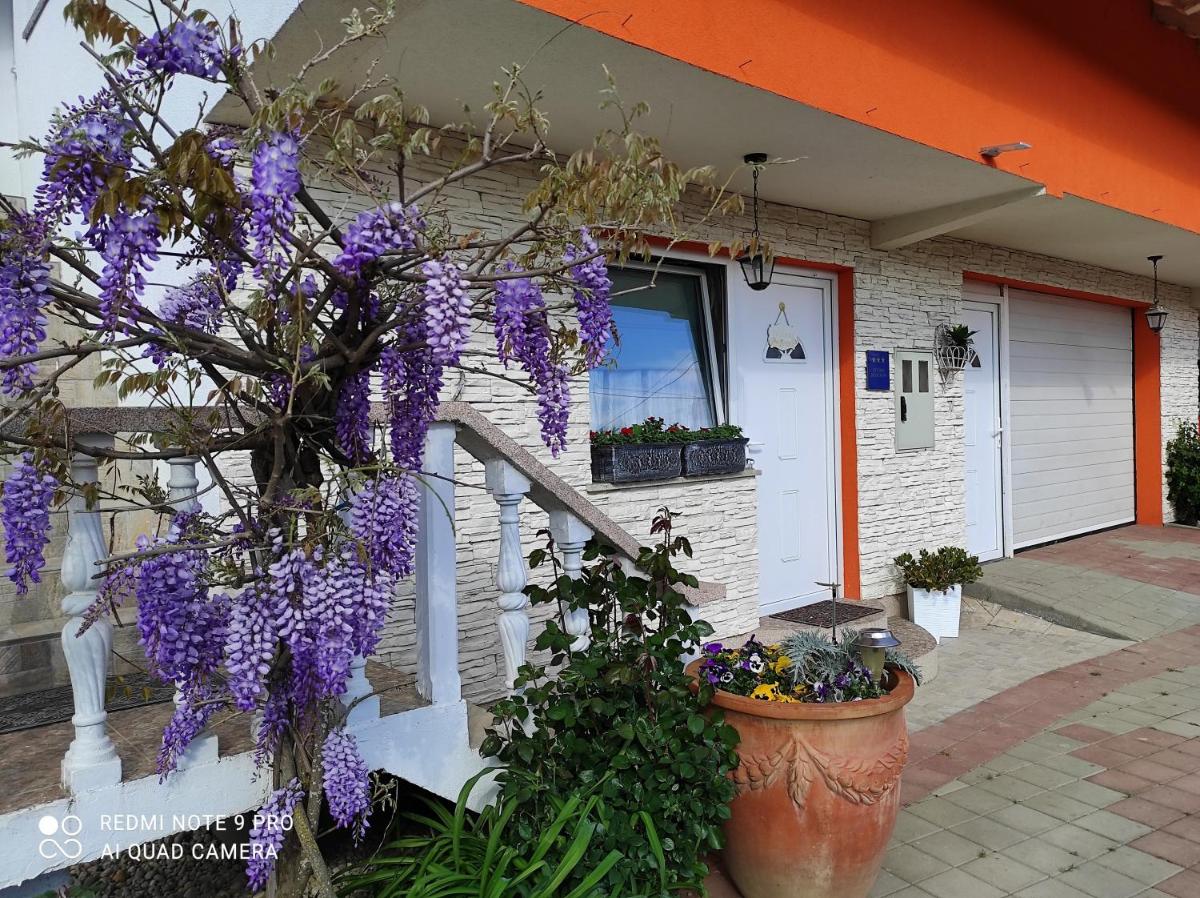 Apartments with a parking space Garesnica, Bjelovarska - 18833 - Housity