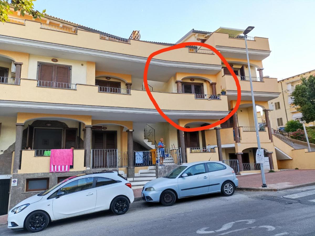 Cavalluccio Marino - Housity