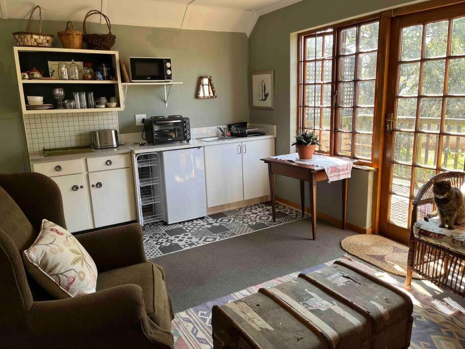 Silver Birch Studio - Hizvo