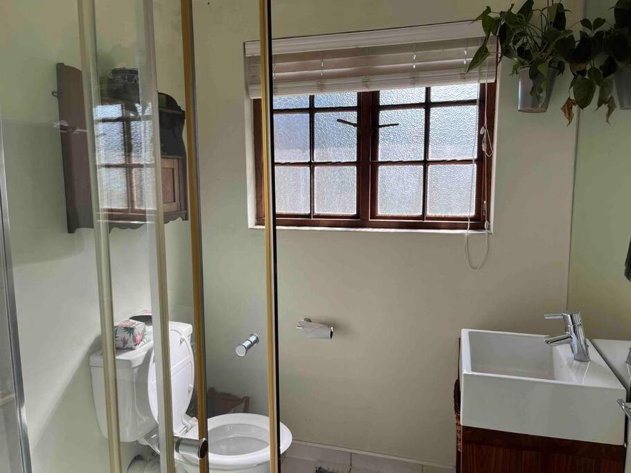 Silver Birch Studio - Hizvo