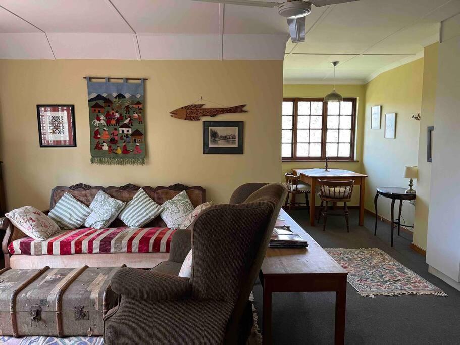 Silver Birch Studio - Hizvo