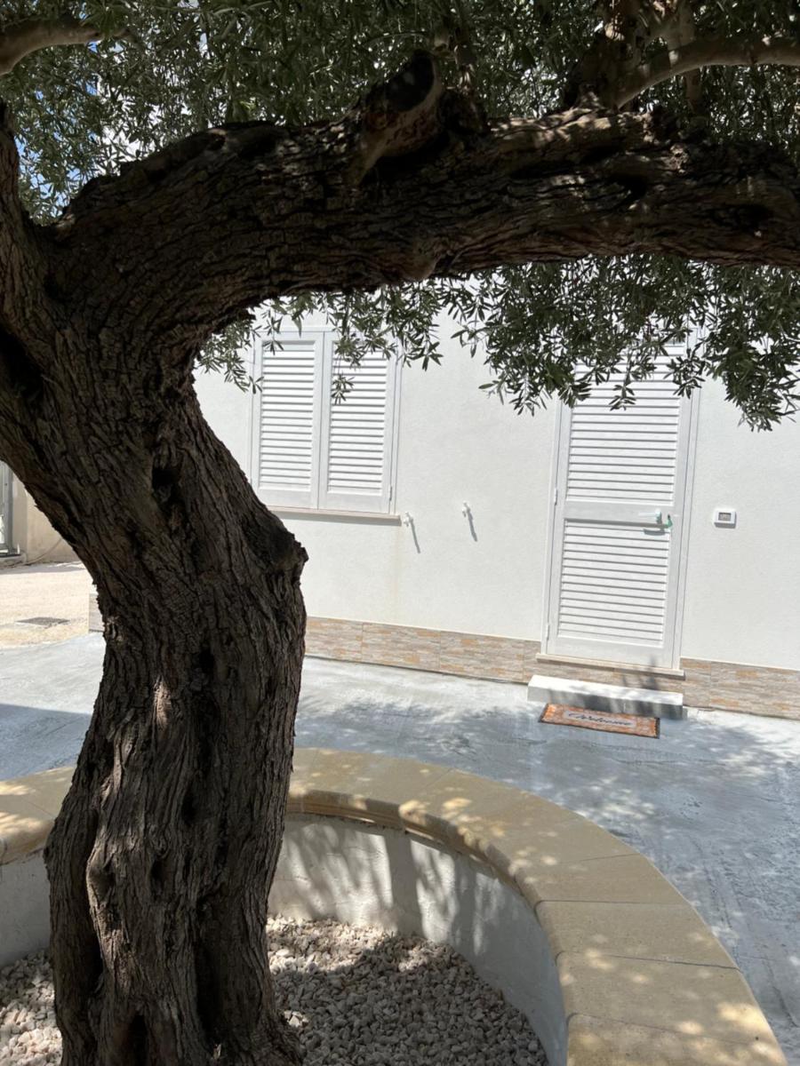 Appartamento - Isola di Mothia - Housity
