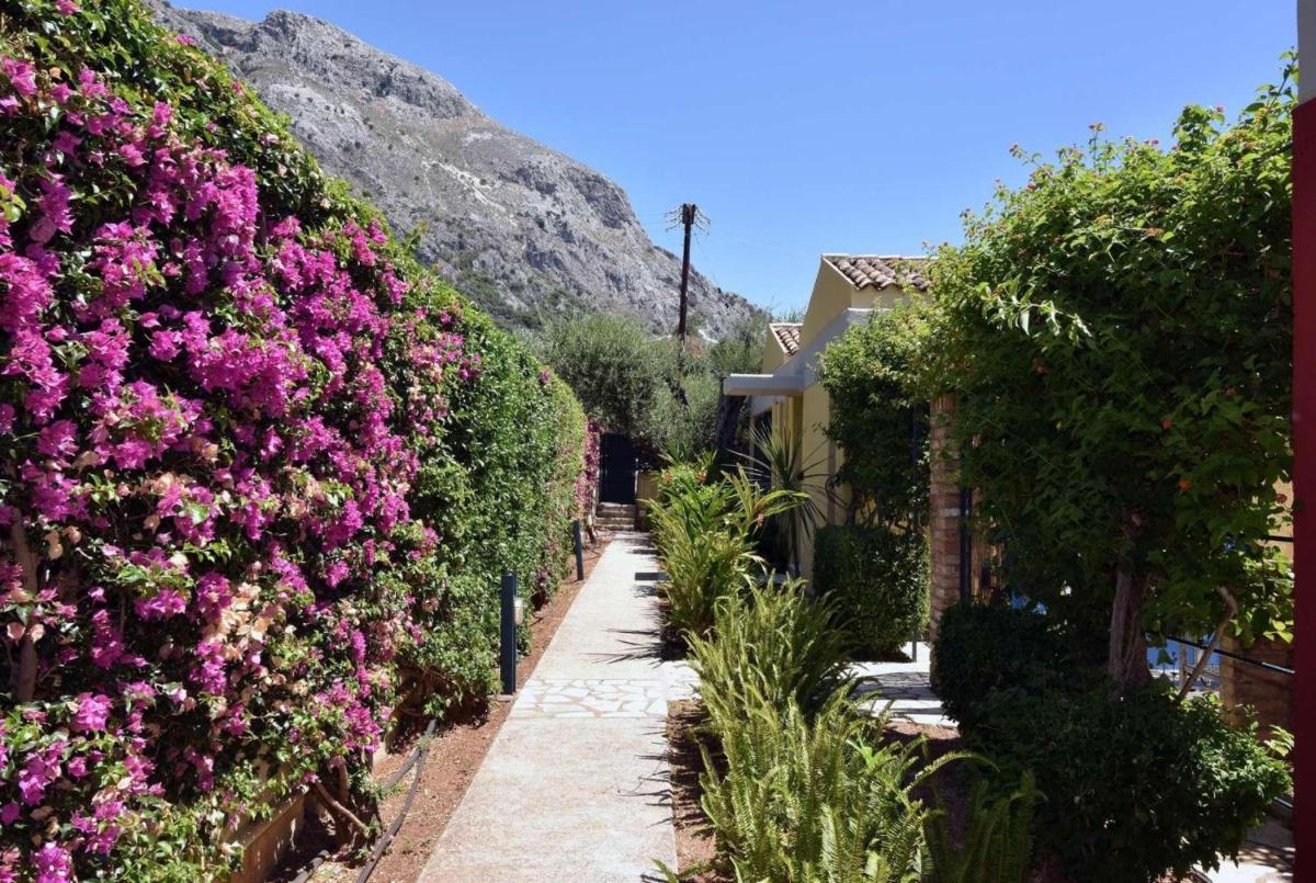 Zante - Housity