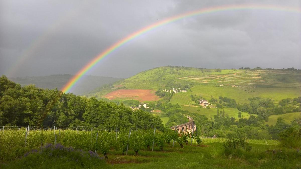 maison isolée dans les vignes et les bois - Housity