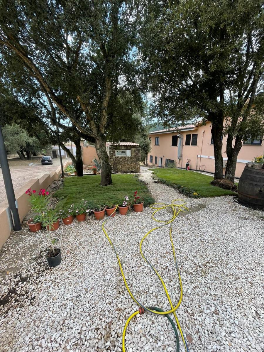 AZIENDA AGRITURISTICA S'ARGALASI - B&B - AFFITTACAMERE Loc S'Argalasi Austis - Housity