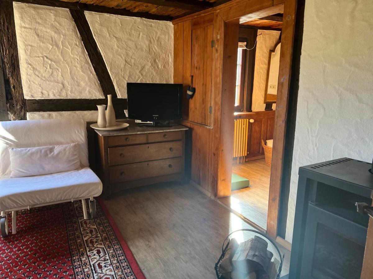 Ferienwohnung am Schlossgarten - Housity