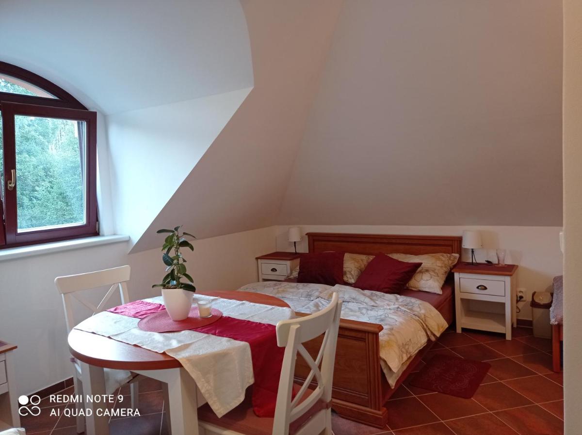 Apartmány U Orlického jezera - Kamenice - Housity