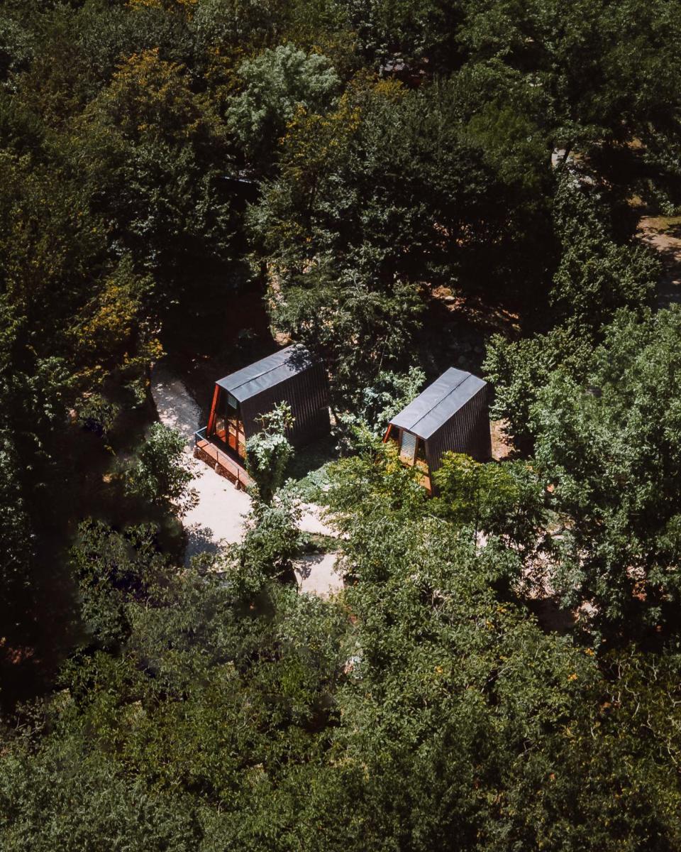 Eco Village In The Forest - Housity