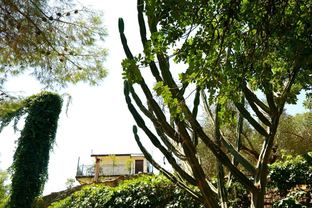 Casa Ricciolino: Sicily - Alcantara, Taormina, Etna - Housity