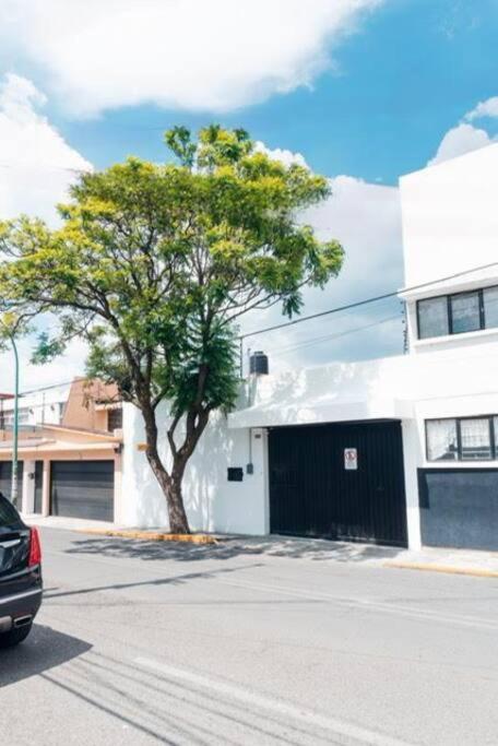Agradable casa Alicia en el centro de la ciudad - Housity