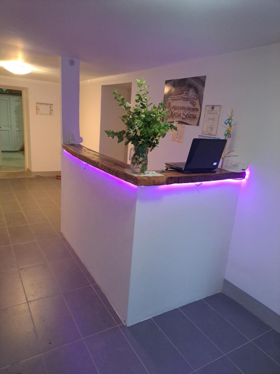 Maria Selena - Housity