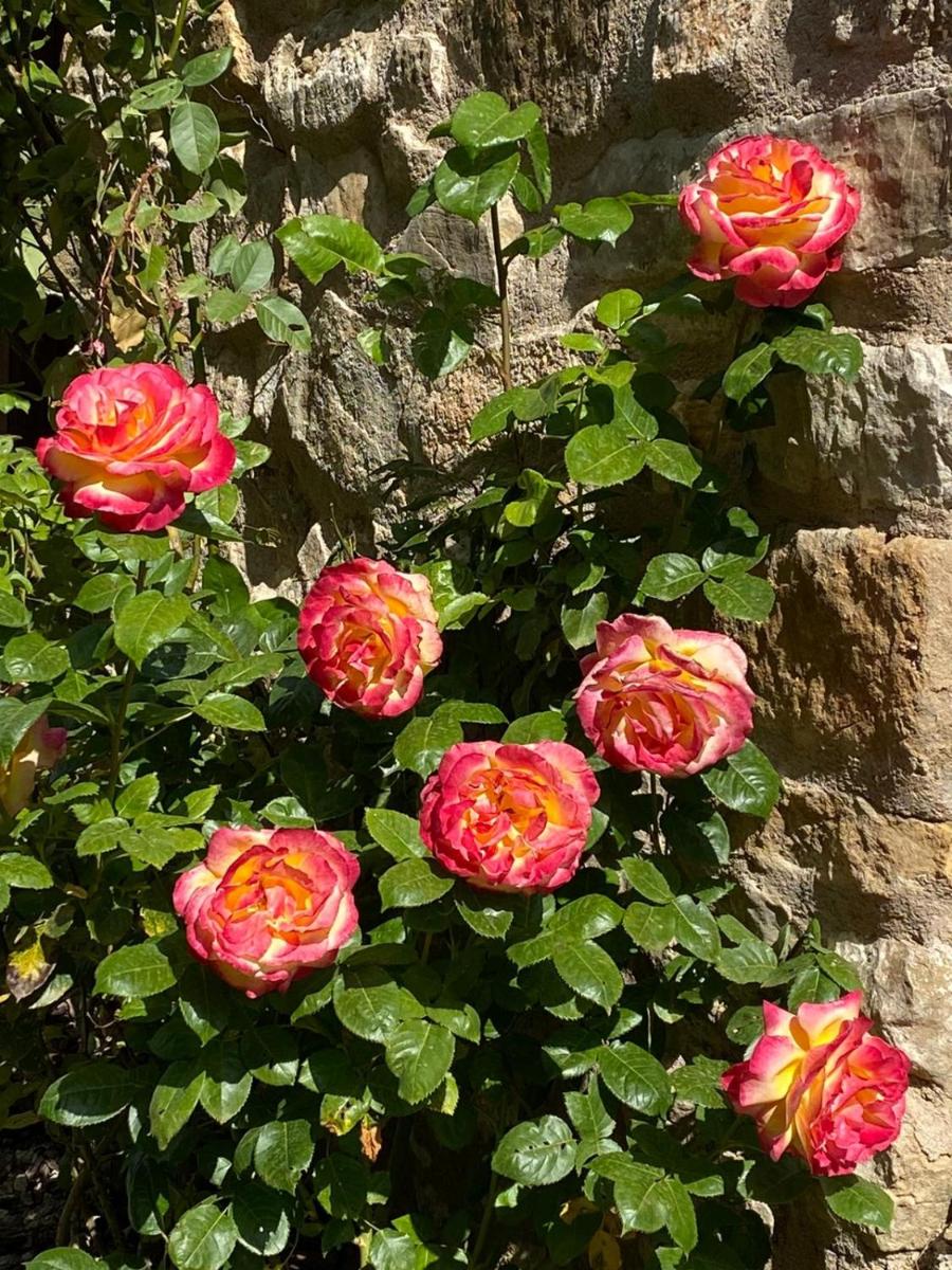 Casa de montaña cerca de figueres - Housity