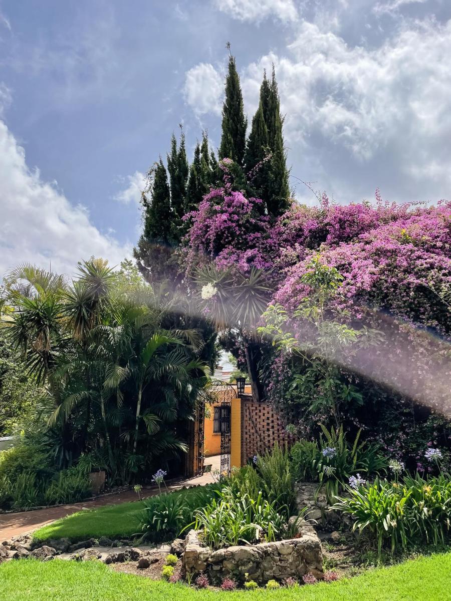 Casa Magdalena Hotel Boutique - Housity