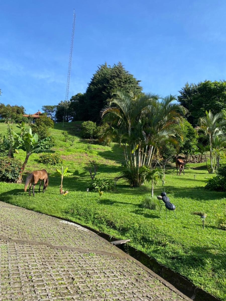 Intihuasi - Housity