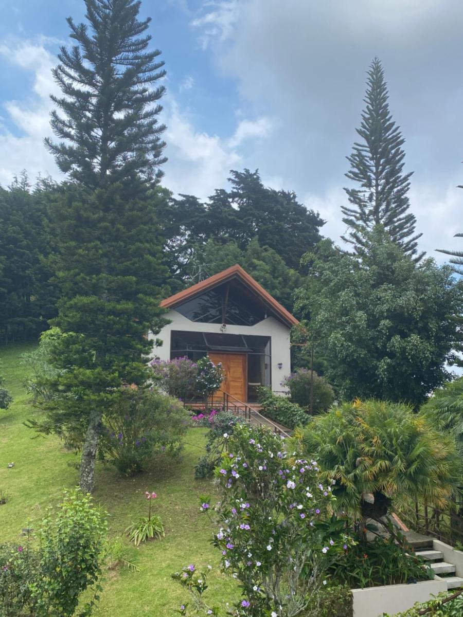 Intihuasi - Housity