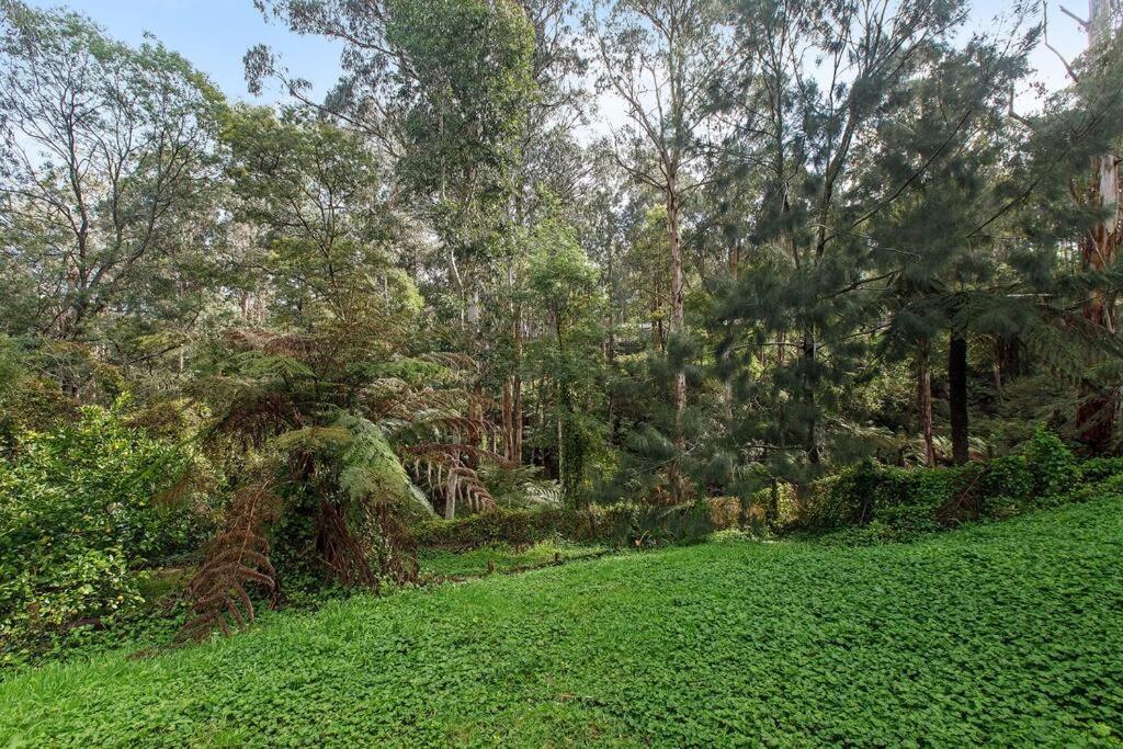 Private Holiday Home With Rain Forest Creek View - Housity