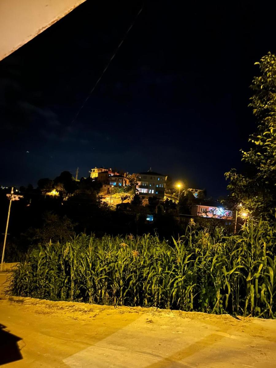 a peaceful holiday in a village environment - Housity