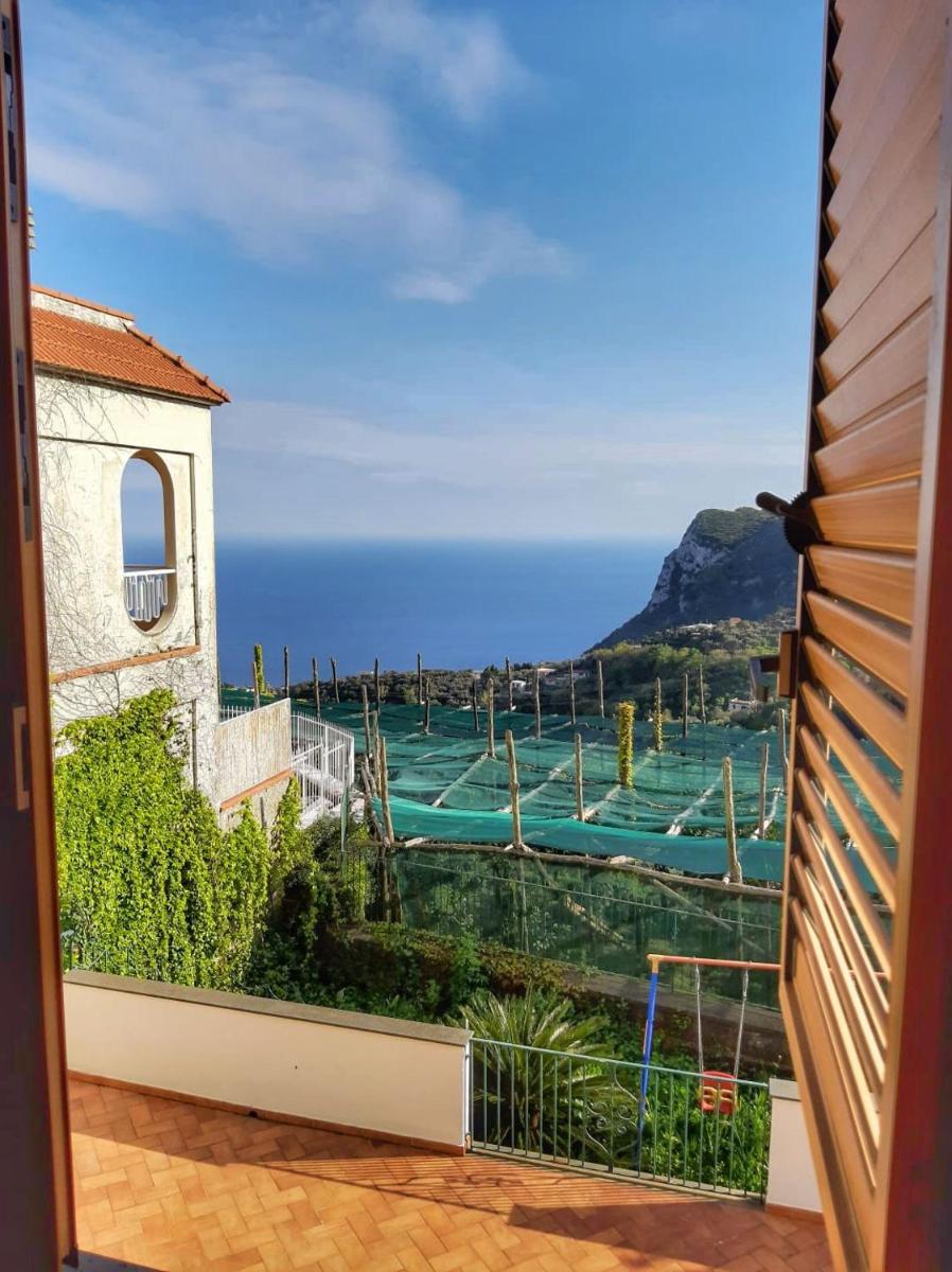 Villa Mariel Suites & Apartment - Housity