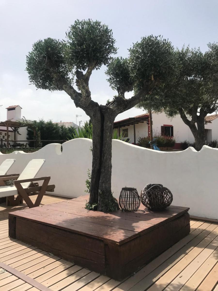 Aleixo's House | Alentejo - Housity