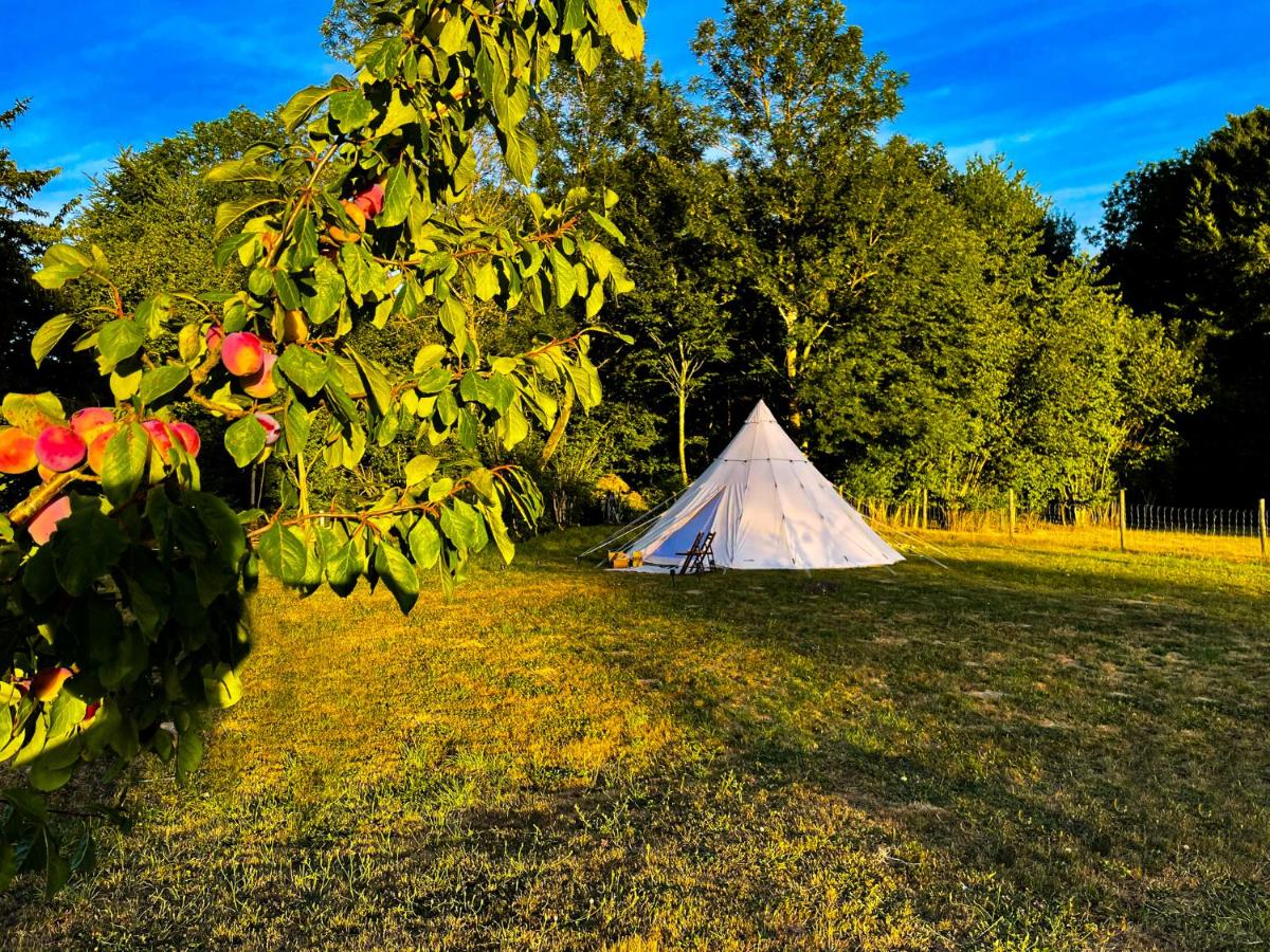 Luxe tipi tent met luxe verwarmde buitendouche - Housity