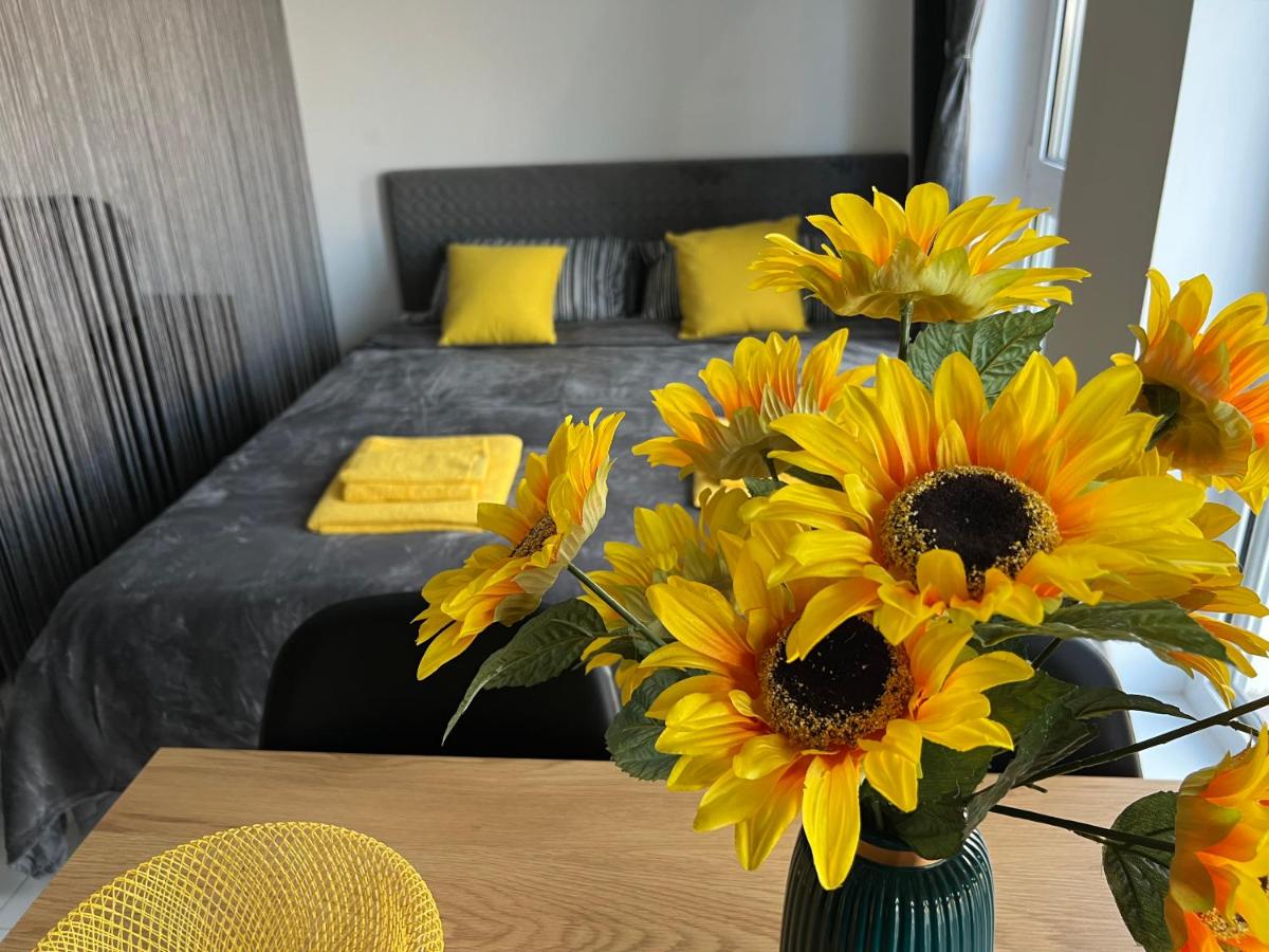 Yellow Studios Constanta - Housity