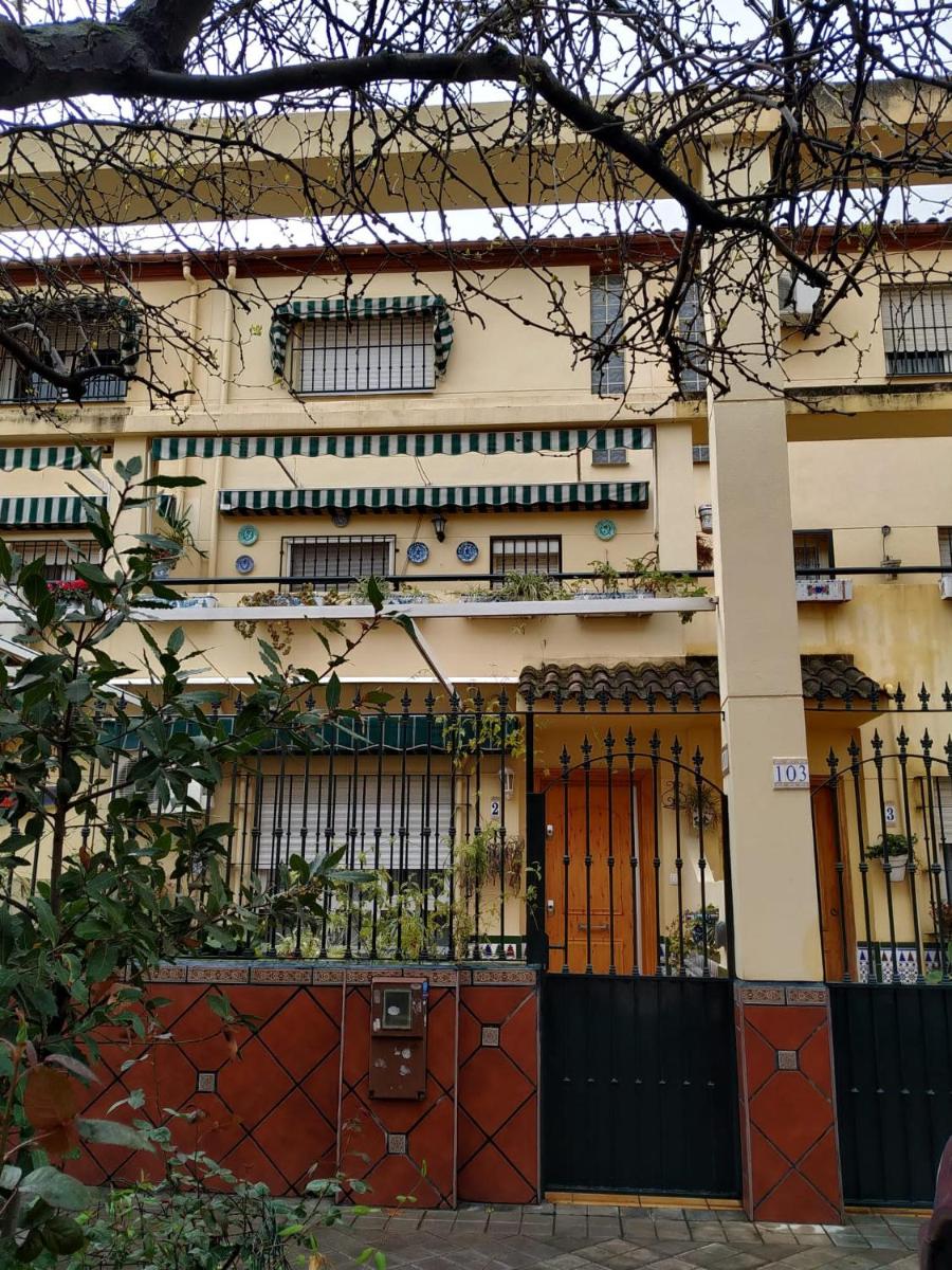 Los Jazmines, 2 - Housity