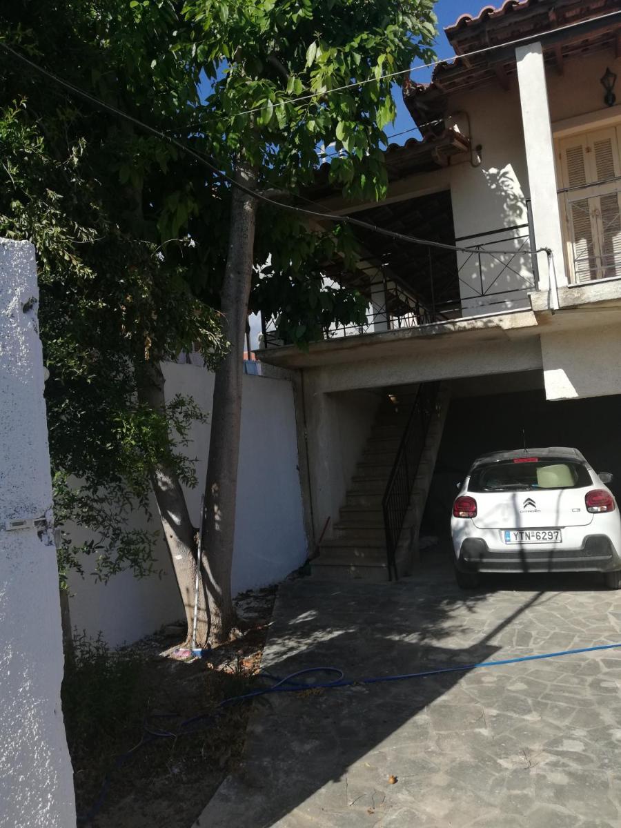 ZISSI'S HOUSE - Housity