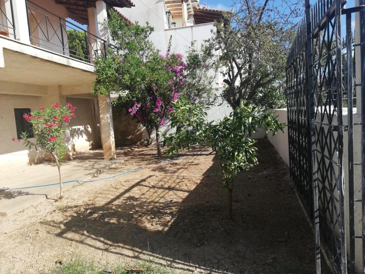 ZISSI'S HOUSE - Housity