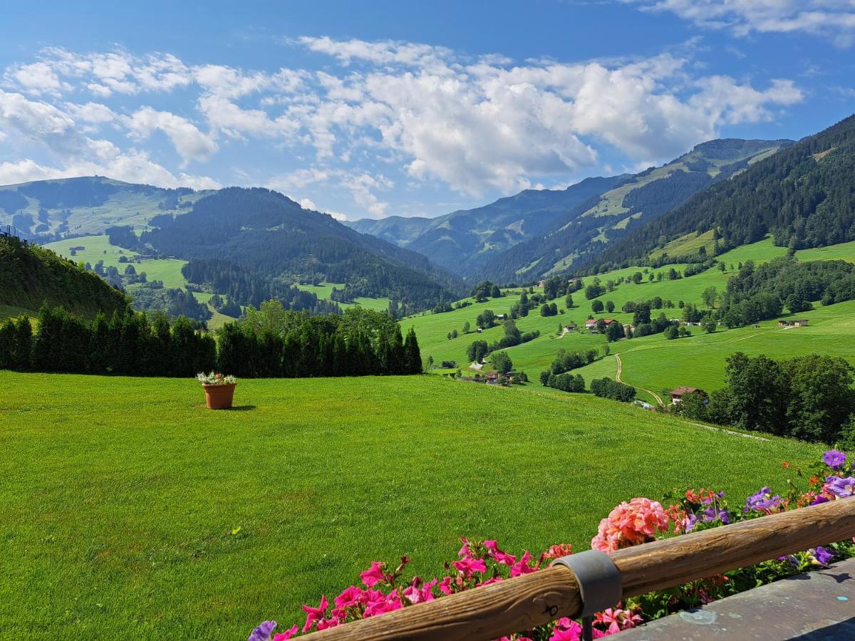 Sonnenheim - Housity