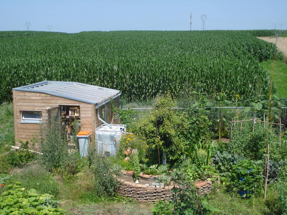 Maison calme et son jardin forêt comestible - Housity