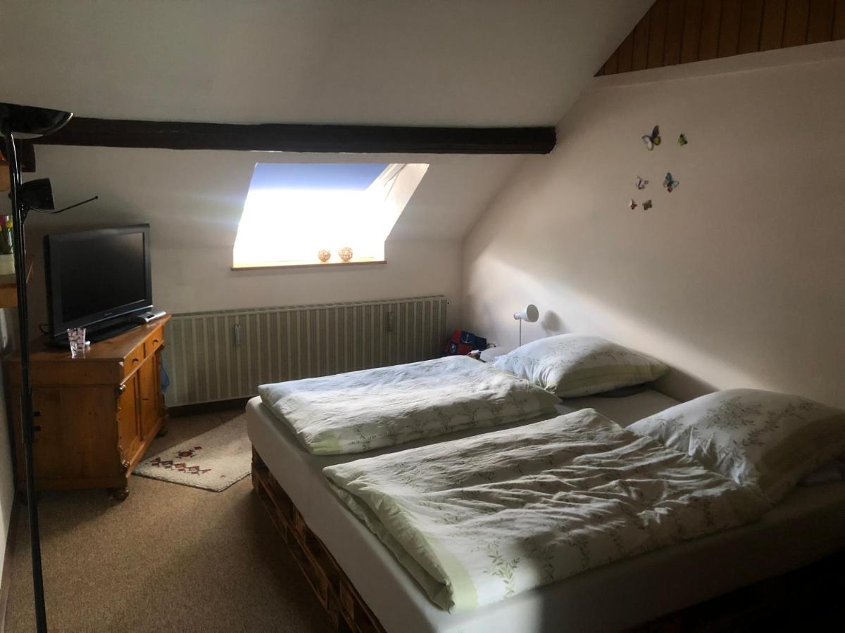 Ironico Homestay 4 Schlafzimmer Ferienwohnung 100 m2 nahe Bostalsee - Housity
