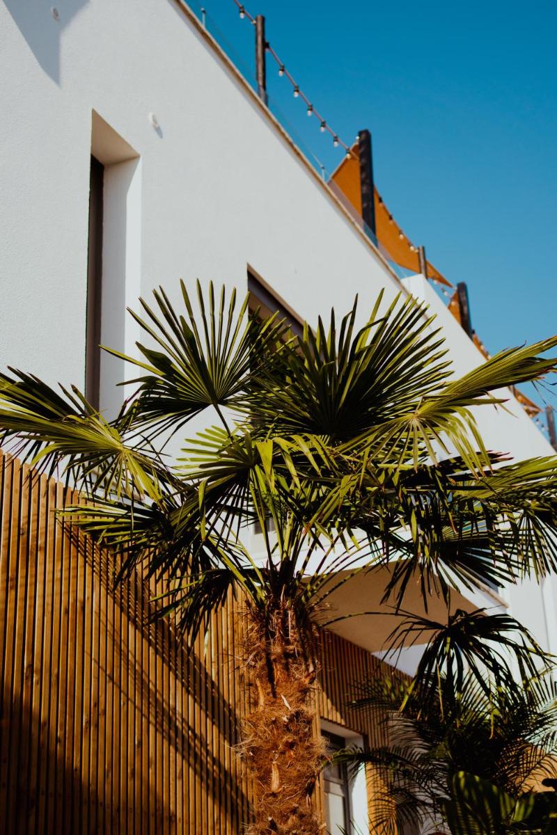 Imagem da galeria de The Salty Pelican Yoga & Surf Retreat em Peniche