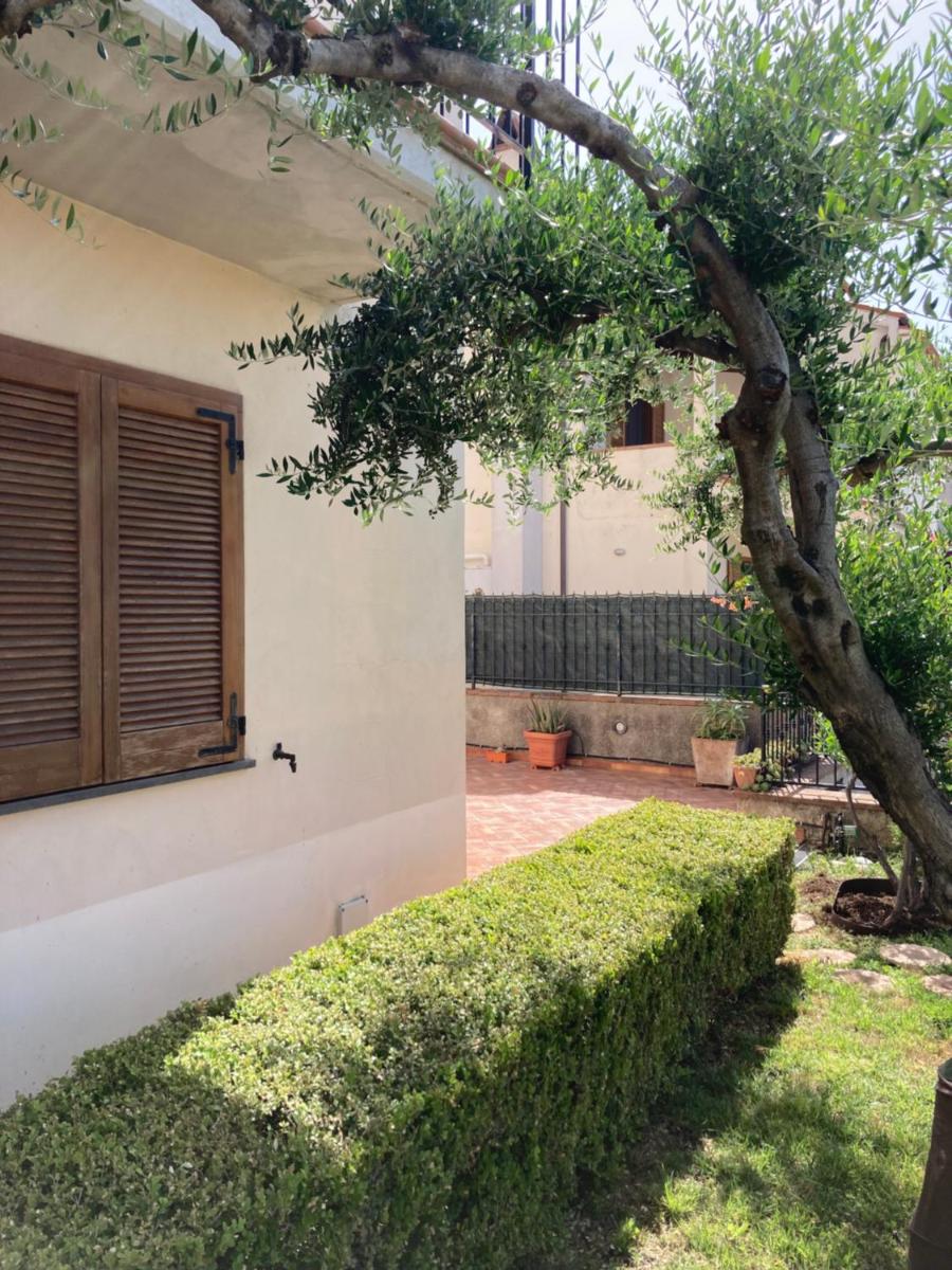 Tusitala - Rooms & Suite - Housity