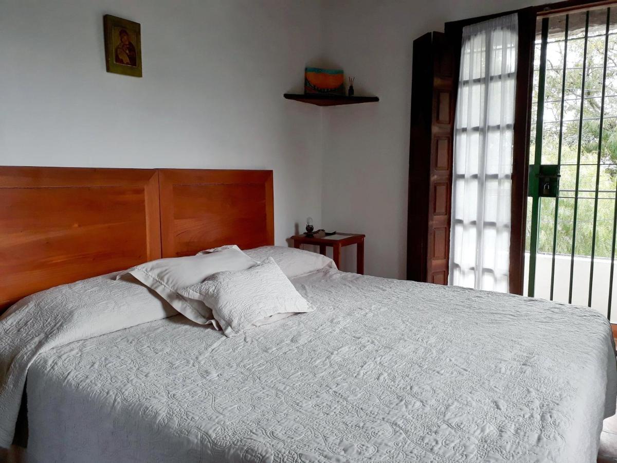 Casa de las Palmeras - Housity