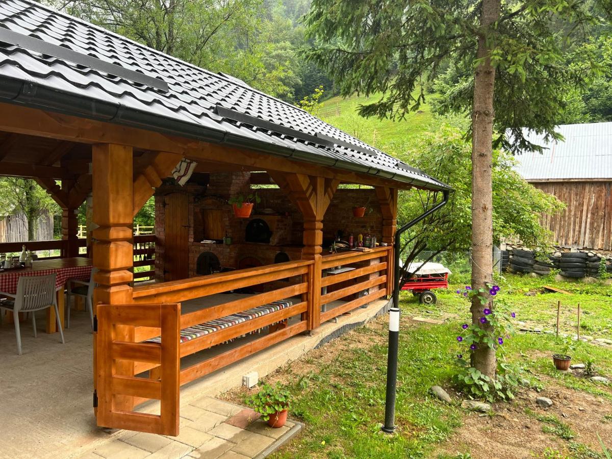 Pensiunea Pietrosul Rodnei - Housity