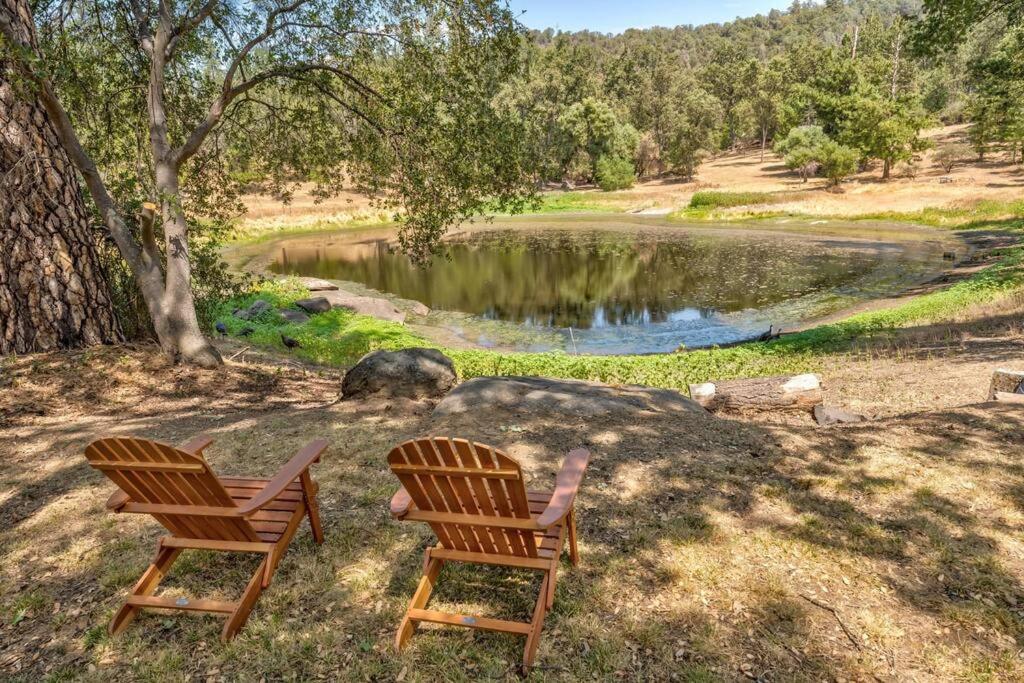 NEW Yosemite Family Retreat with Pond & Game Room! - Housity