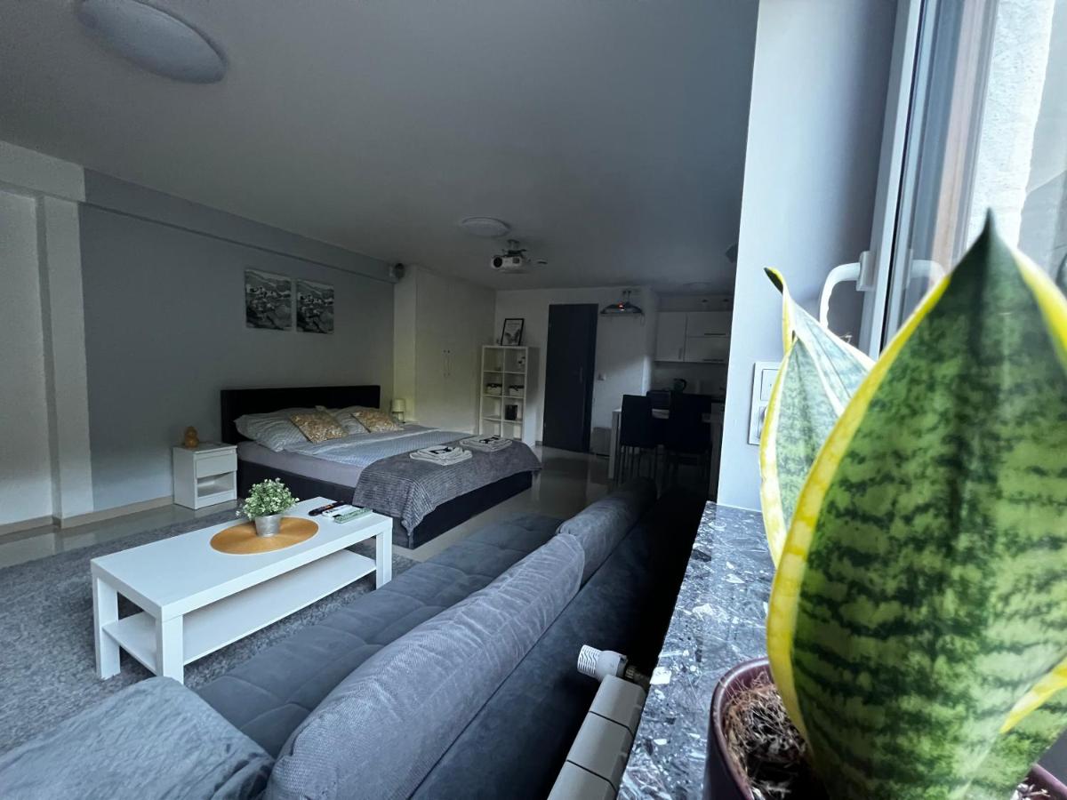 Apartament PLAY - Housity