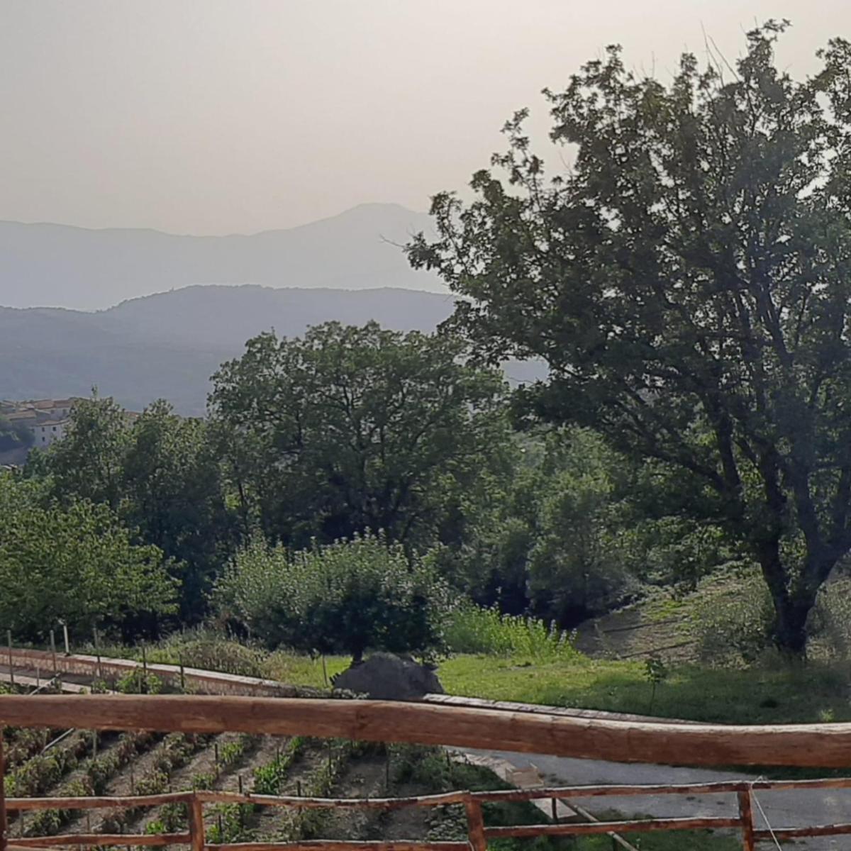 Agriturismo Dolci Ricordi - Housity