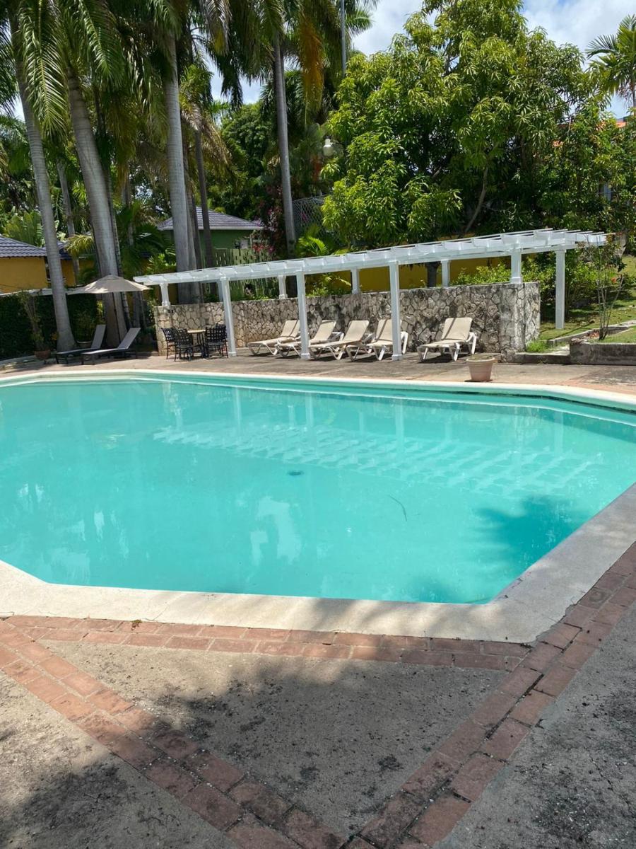 Teeview Montego Bay - Holiday House with private garden & pool - Housity