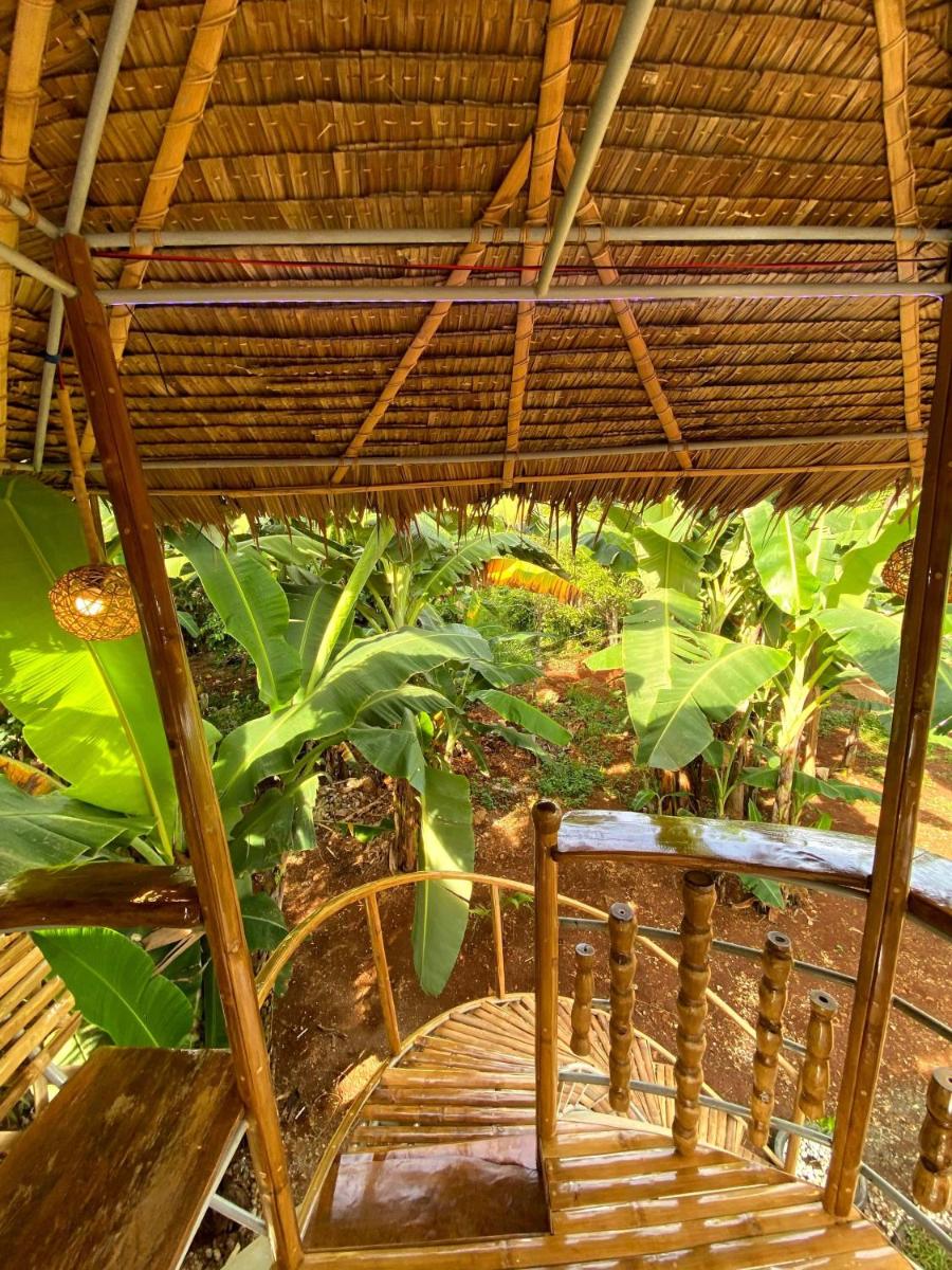 Adorable Dome House - Housity