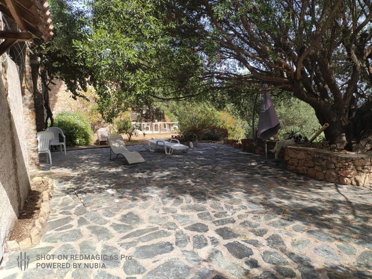 A casa di Sognu - Housity