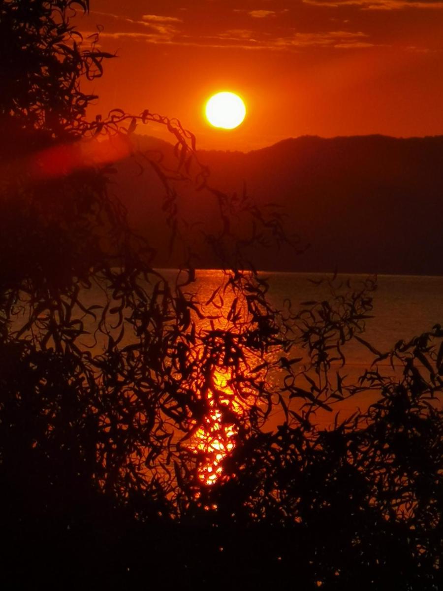 Villa Unique - Housity