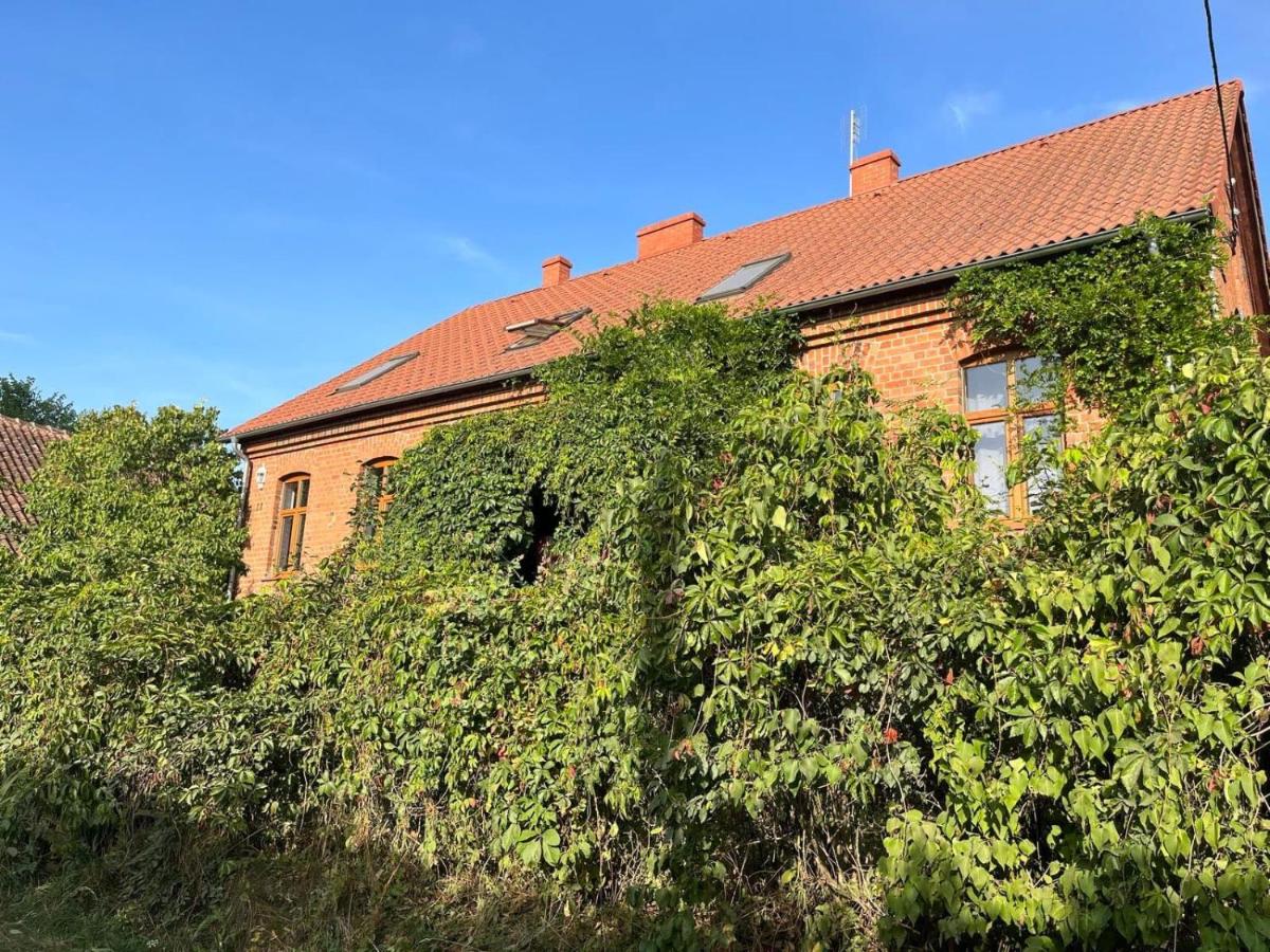 Dejgunówka- natura, nurkowanie, agroturystyka - Housity