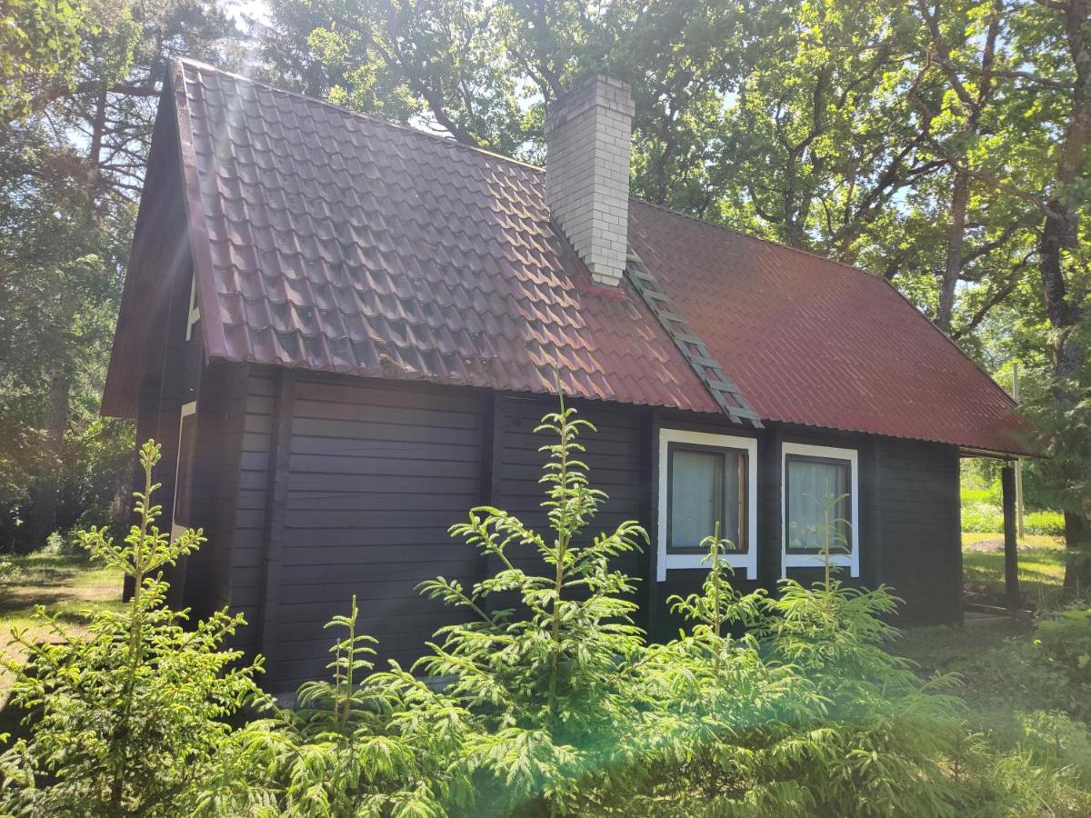 Cosy Holiday Home with sauna for family vacation - Housity