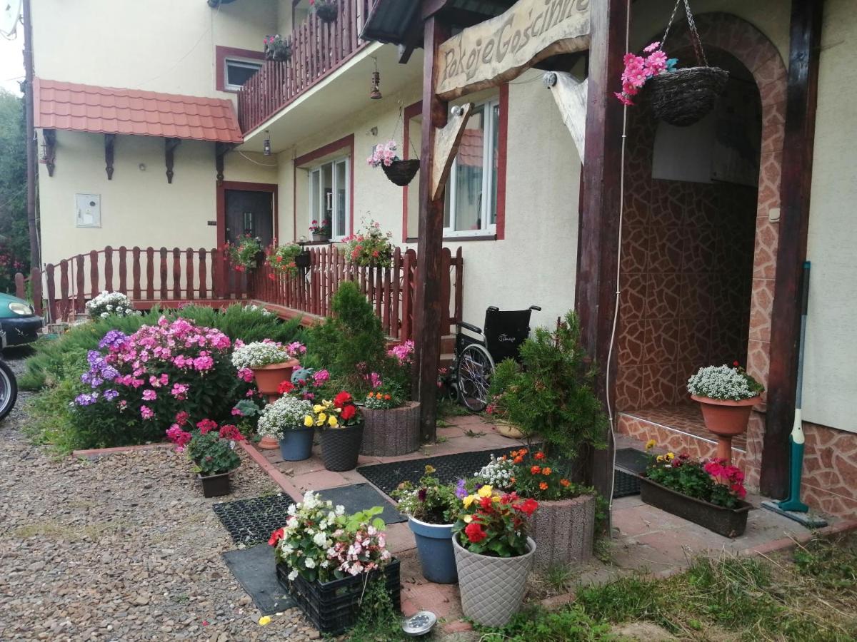 Jasionka - Housity
