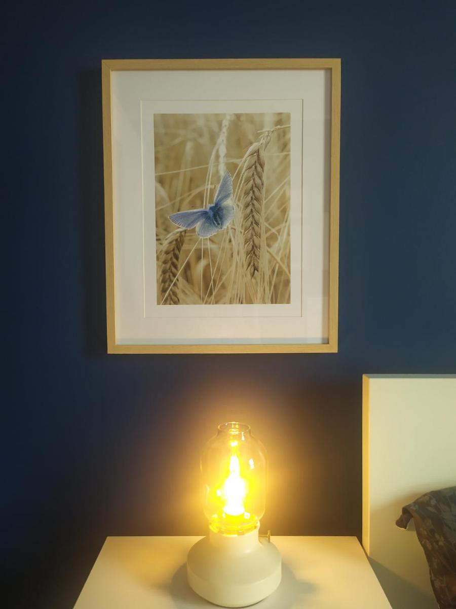 Apartament na Jeziornej koło Aquaparku i Jump City - Housity